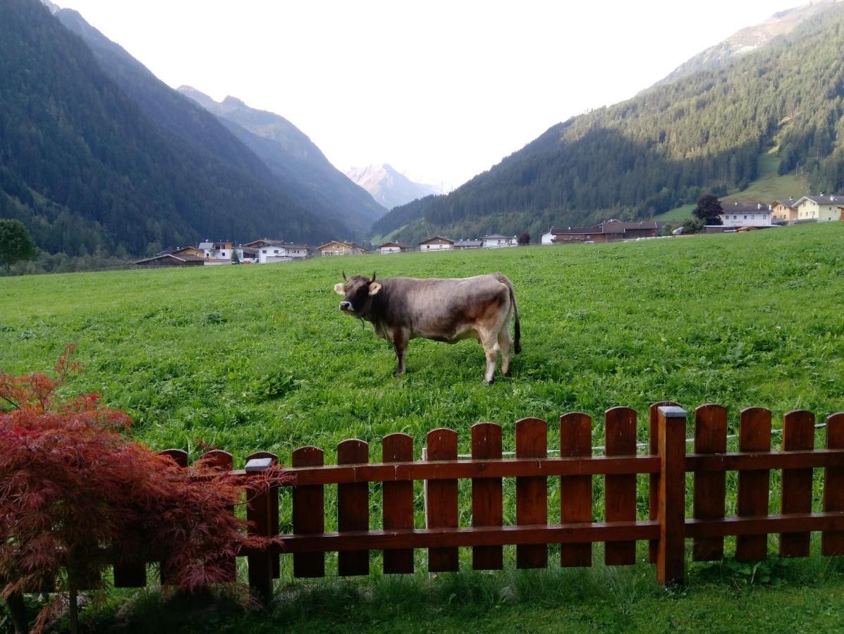 Müller * Neustift im Stubaital